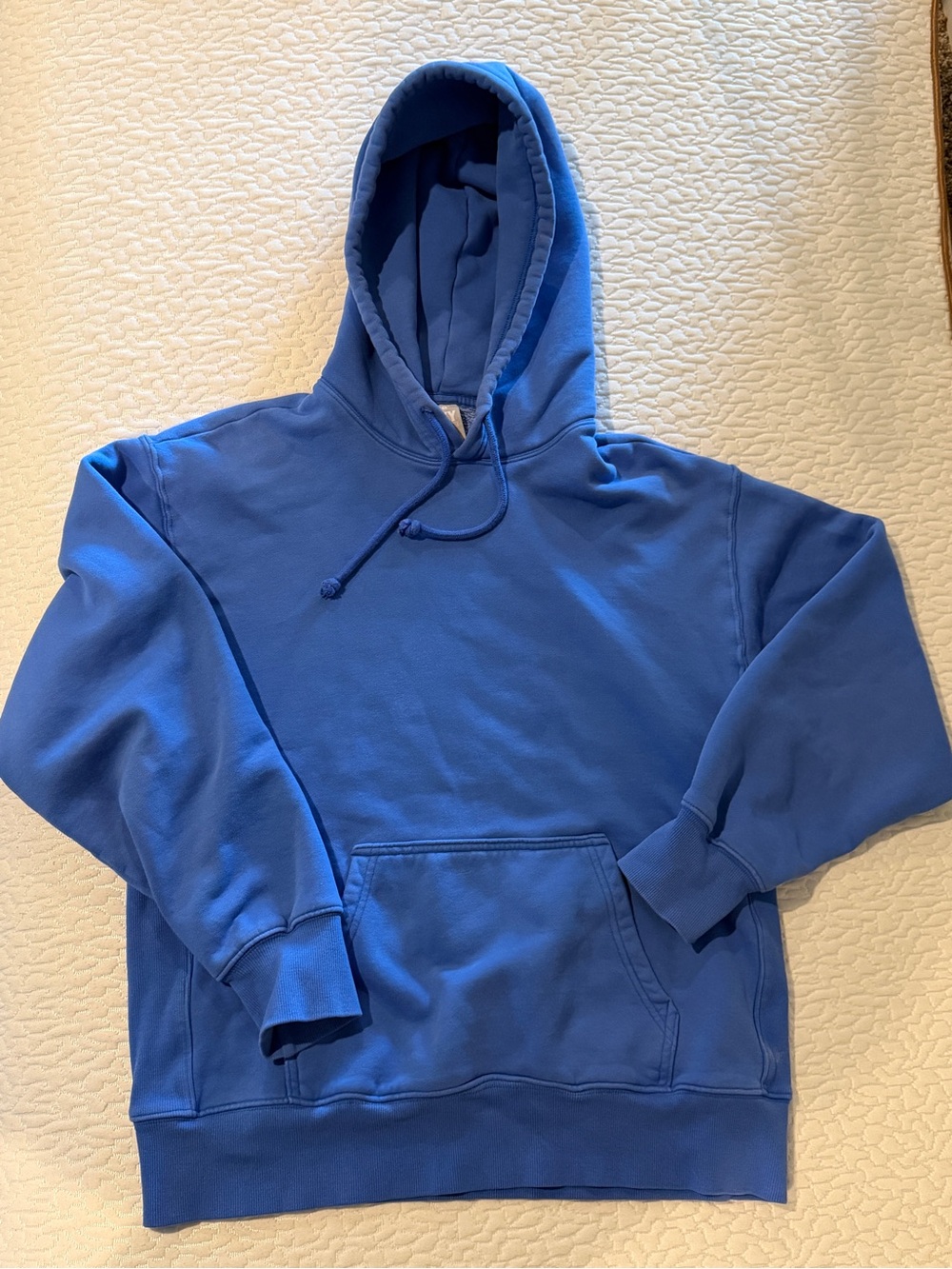 Aritzia Tna Cozy Fleece Boyfriend Hoodie in Washed Blue – Size 2XS